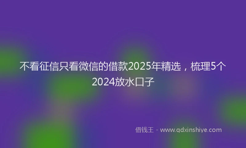 不看征信只看微信的借款2025年精选，梳理5个2024放水口子