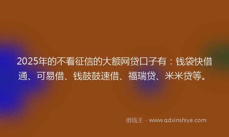 2025年的不看征信的大额网贷口子有：钱袋快借通、可易借、钱鼓鼓速借、福瑞贷、米米贷等。