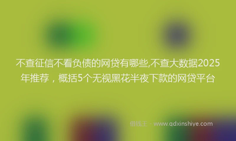 不查征信不看负债的网贷有哪些,不查大数据2025年推荐，概括5个无视黑花半夜下款的网贷平台