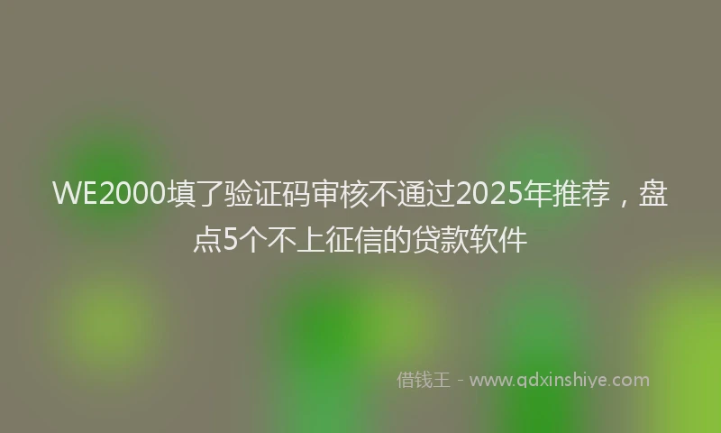 WE2000填了验证码审核不通过2025年推荐，盘点5个不上征信的贷款软件