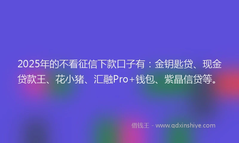 2025年的不看征信下款口子有：金钥匙贷、现金贷款王、花小猪、汇融Pro+钱包、紫晶信贷等。