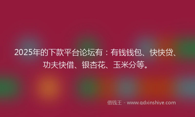 2025年的下款平台论坛有：有钱钱包、快快贷、功夫快借、银杏花、玉米分等。