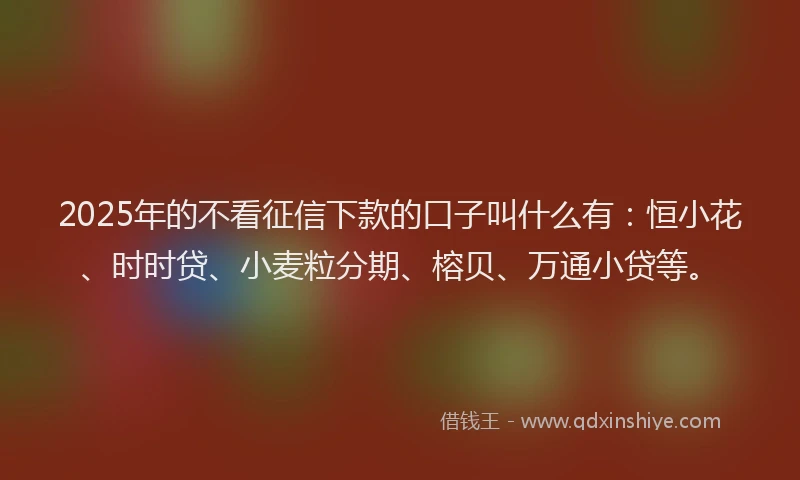 2025年的不看征信下款的口子叫什么有：恒小花、时时贷、小麦粒分期、榕贝、万通小贷等。