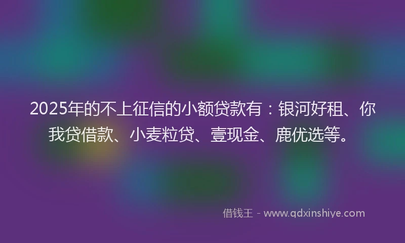 2025年的不上征信的小额贷款有：银河好租、你我贷借款、小麦粒贷、壹现金、鹿优选等。
