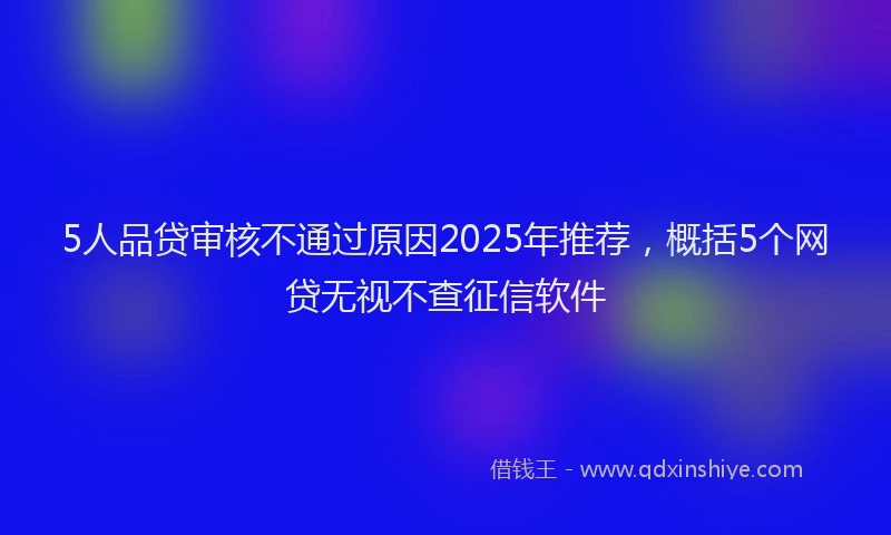 5人品贷审核不通过原因2025年推荐，概括5个网贷无视不查征信软件