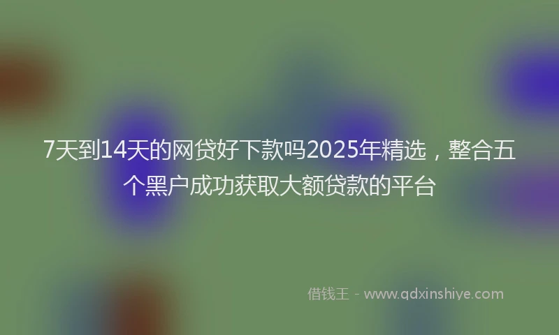 7天到14天的网贷好下款吗2025年精选，整合五个黑户成功获取大额贷款的平台