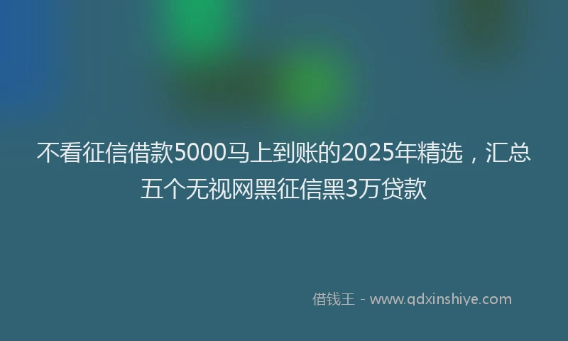 不看征信借款5000马上到账的2025年精选，汇总五个无视网黑征信黑3万贷款