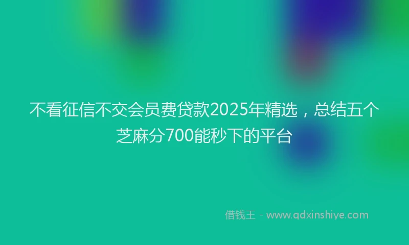 不看征信不交会员费贷款2025年精选，总结五个芝麻分700能秒下的平台