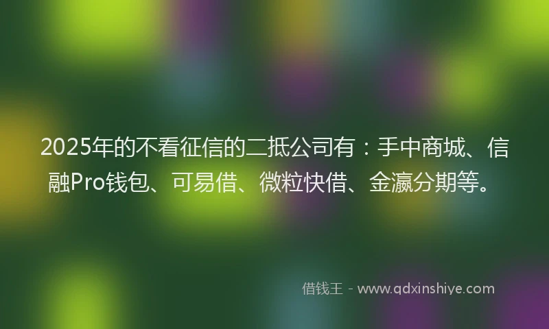 2025年的不看征信的二抵公司有：手中商城、信融Pro钱包、可易借、微粒快借、金瀛分期等。