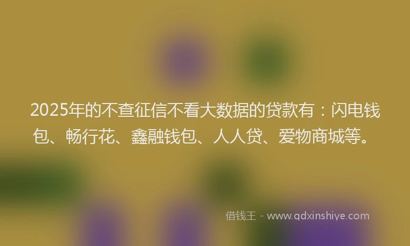 2025年的不查征信不看大数据的贷款有：闪电钱包、畅行花、鑫融钱包、人人贷、爱物商城等。