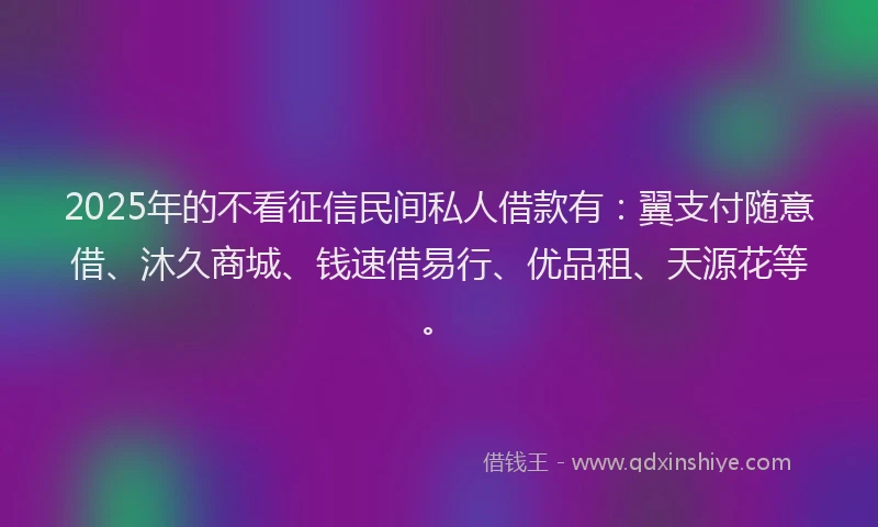 2025年的不看征信民间私人借款有：翼支付随意借、沐久商城、钱速借易行、优品租、天源花等。