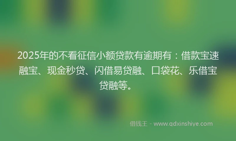2025年的不看征信小额贷款有逾期有：借款宝速融宝、现金秒贷、闪借易贷融、口袋花、乐借宝贷融等。