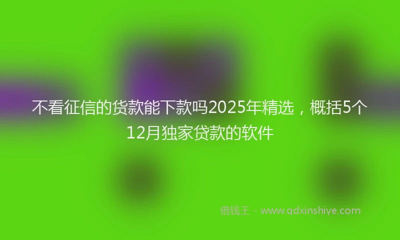 不看征信的货款能下款吗2025年精选，概括5个12月独家贷款的软件
