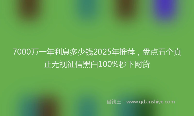 7000万一年利息多少钱2025年推荐，盘点五个真正无视征信黑白100%秒下网贷