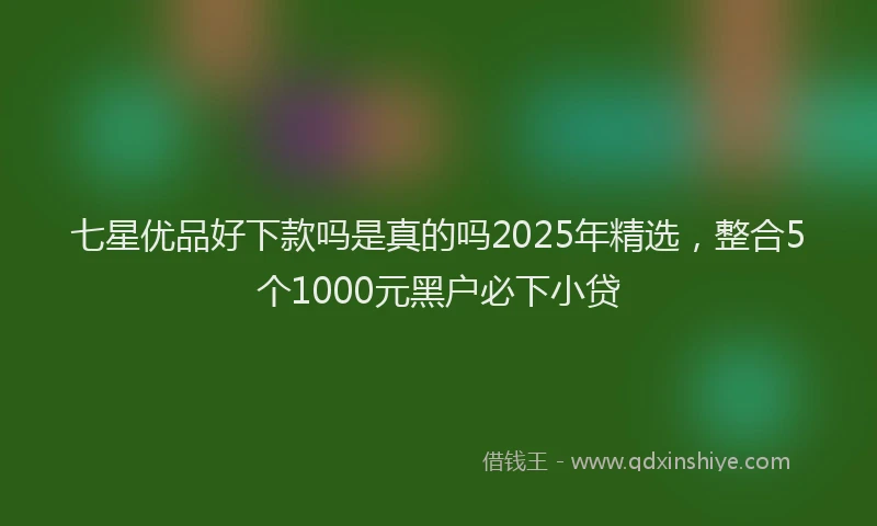 七星优品好下款吗是真的吗2025年精选，整合5个1000元黑户必下小贷