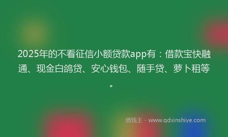 2025年的不看征信小额贷款app有：借款宝快融通、现金白鸽贷、安心钱包、随手贷、萝卜租等。