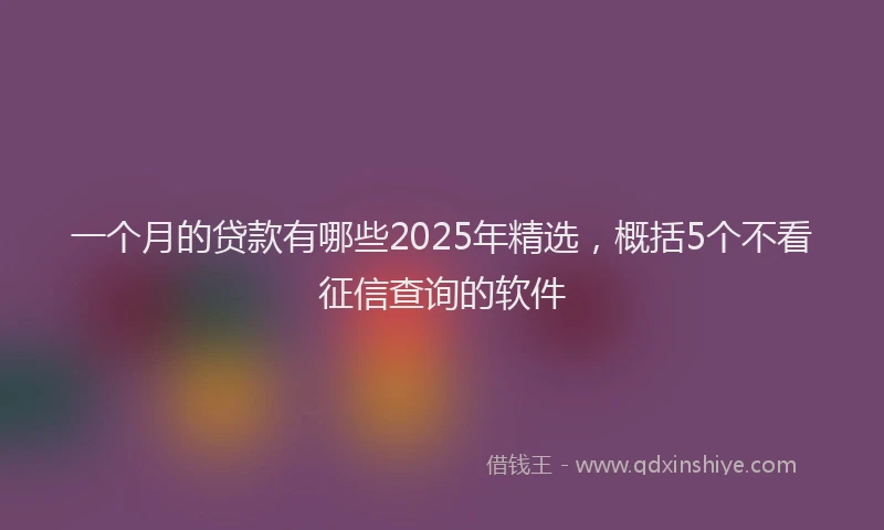 一个月的贷款有哪些2025年精选，概括5个不看征信查询的软件