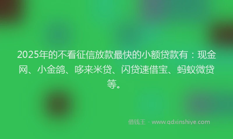 2025年的不看征信放款最快的小额贷款有：现金网、小金鸽、哆来米贷、闪贷速借宝、蚂蚁微贷等。