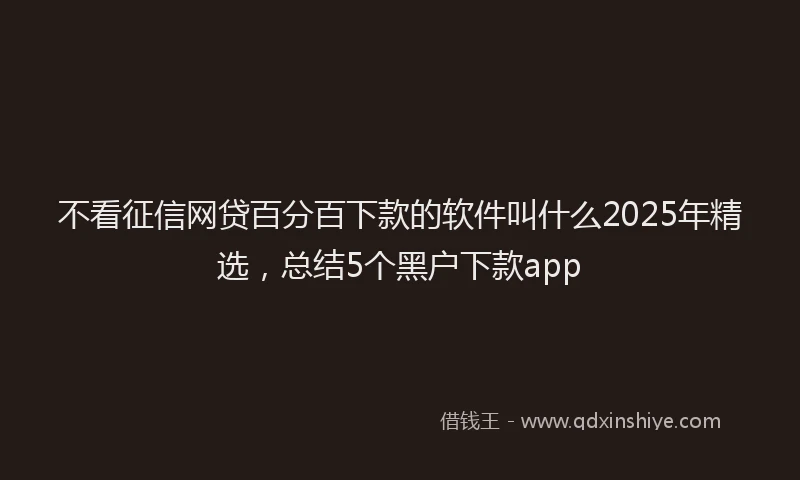 不看征信网贷百分百下款的软件叫什么2025年精选，总结5个黑户下款app