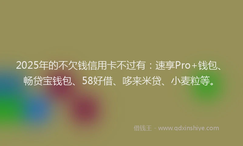 2025年的不欠钱信用卡不过有：速享Pro+钱包、畅贷宝钱包、58好借、哆来米贷、小麦粒等。