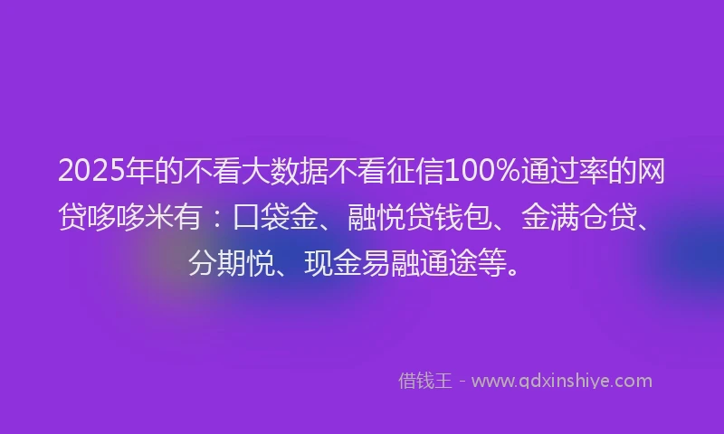 2025年的不看大数据不看征信100%通过率的网贷哆哆米有：口袋金、融悦贷钱包、金满仓贷、分期悦、现金易融通途等。