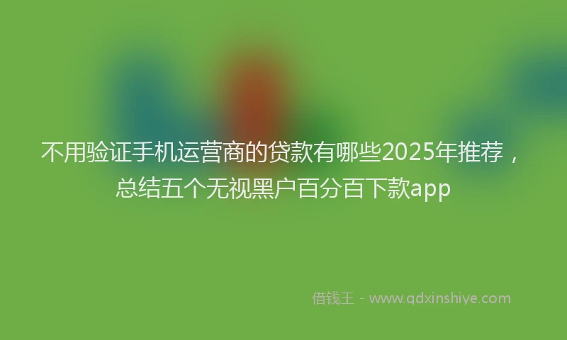 不用验证手机运营商的贷款有哪些2025年推荐，总结五个无视黑户百分百下款app