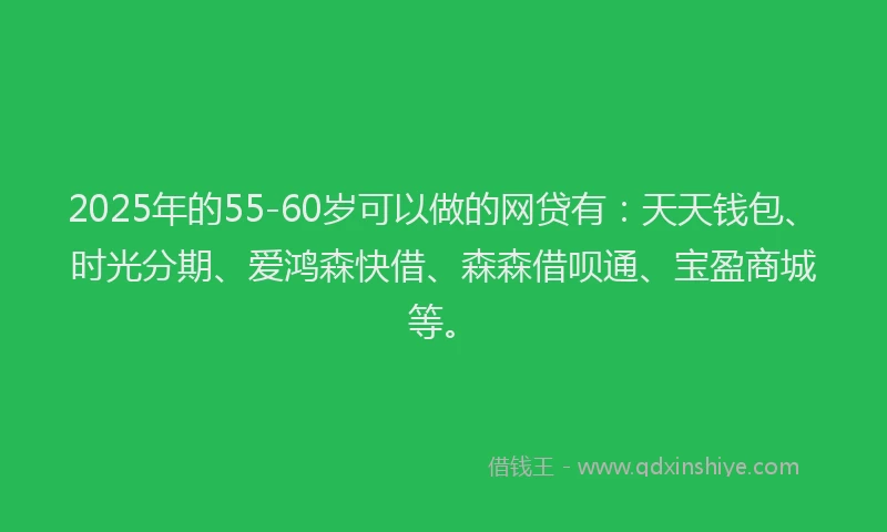 2025年的55-60岁可以做的网贷有：天天钱包、时光分期、爱鸿森快借、森森借呗通、宝盈商城等。