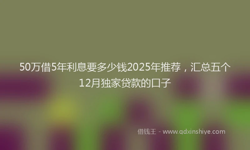 50万借5年利息要多少钱2025年推荐，汇总五个12月独家贷款的口子
