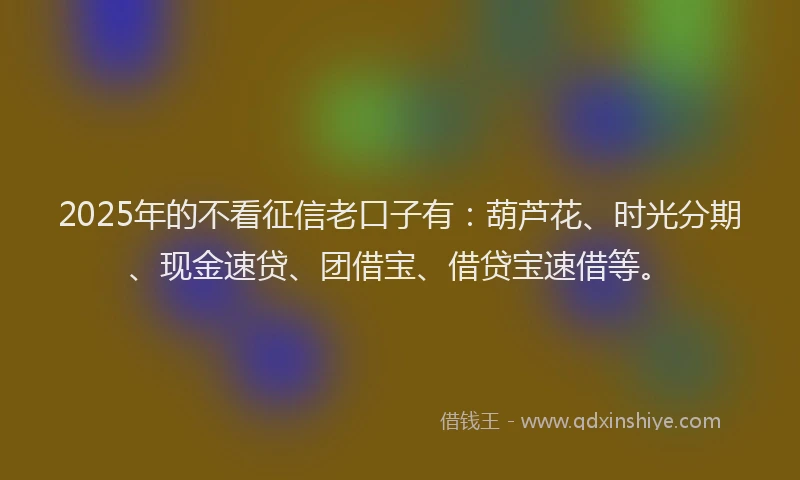 2025年的不看征信老口子有：葫芦花、时光分期、现金速贷、团借宝、借贷宝速借等。