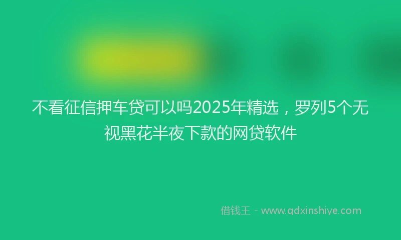 不看征信押车贷可以吗2025年精选，罗列5个无视黑花半夜下款的网贷软件