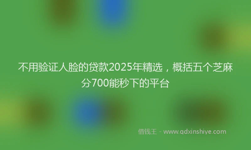 不用验证人脸的贷款2025年精选，概括五个芝麻分700能秒下的平台