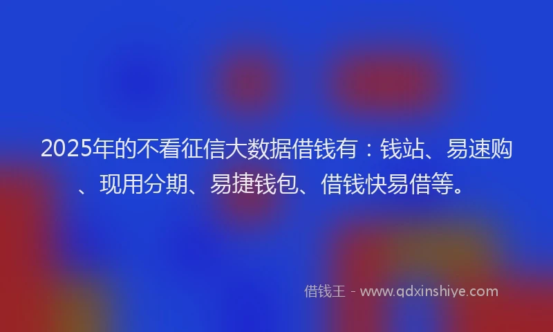 2025年的不看征信大数据借钱有：钱站、易速购、现用分期、易捷钱包、借钱快易借等。