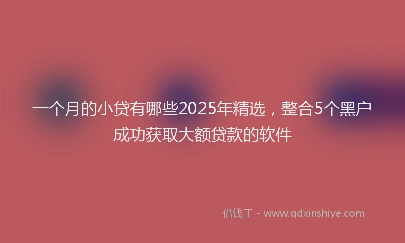 一个月的小贷有哪些2025年精选，整合5个黑户成功获取大额贷款的软件