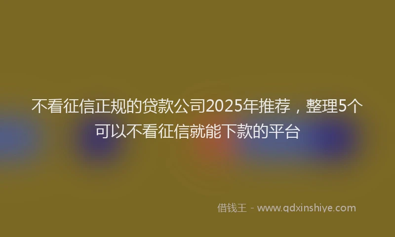 不看征信正规的贷款公司2025年推荐，整理5个可以不看征信就能下款的平台