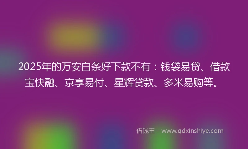 2025年的万安白条好下款不有：钱袋易贷、借款宝快融、京享易付、星辉贷款、多米易购等。