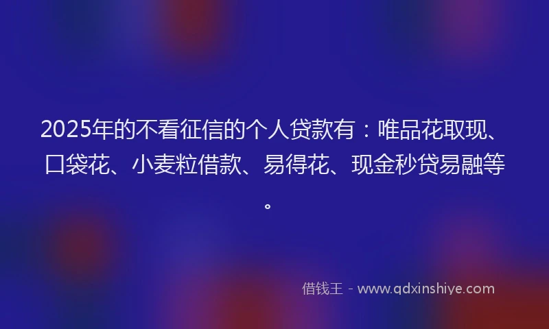 2025年的不看征信的个人贷款有：唯品花取现、口袋花、小麦粒借款、易得花、现金秒贷易融等。