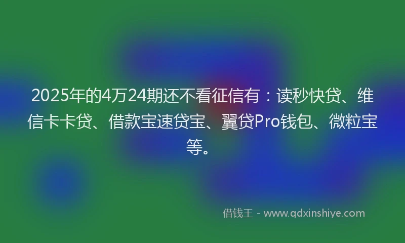 2025年的4万24期还不看征信有：读秒快贷、维信卡卡贷、借款宝速贷宝、翼贷Pro钱包、微粒宝等。