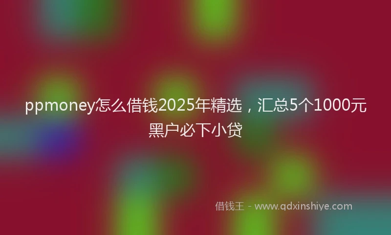 ppmoney怎么借钱2025年精选，汇总5个1000元黑户必下小贷