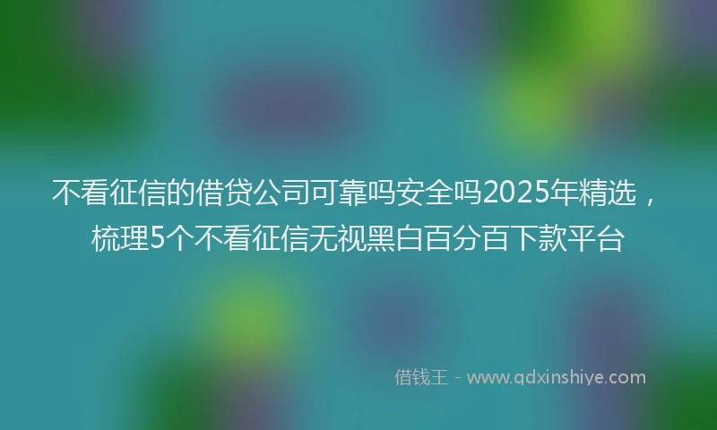 不看征信的借贷公司可靠吗安全吗2025年精选，梳理5个不看征信无视黑白百分百下款平台
