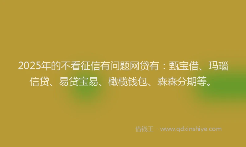 2025年的不看征信有问题网贷有：甄宝借、玛瑙信贷、易贷宝易、橄榄钱包、森森分期等。