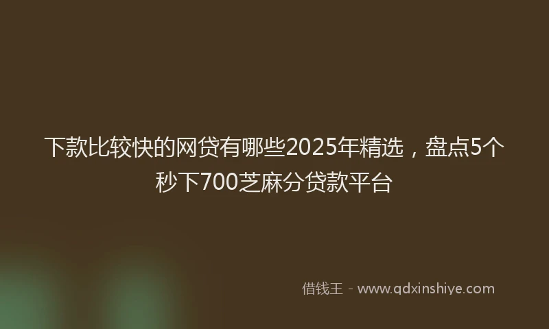 下款比较快的网贷有哪些2025年精选，盘点5个秒下700芝麻分贷款平台