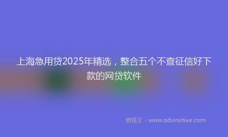 上海急用贷2025年精选，整合五个不查征信好下款的网贷软件