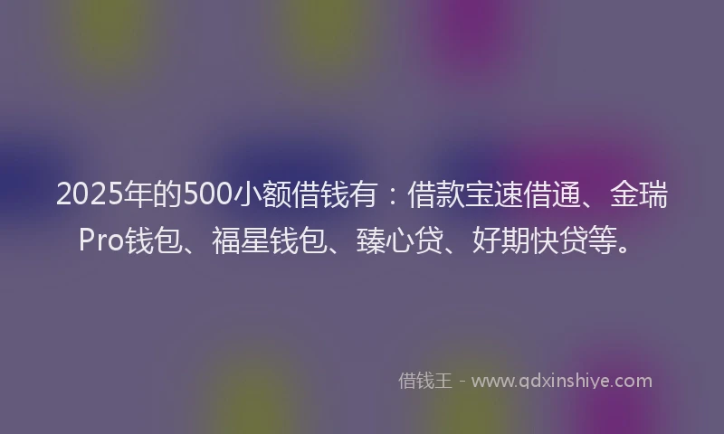 2025年的500小额借钱有：借款宝速借通、金瑞Pro钱包、福星钱包、臻心贷、好期快贷等。
