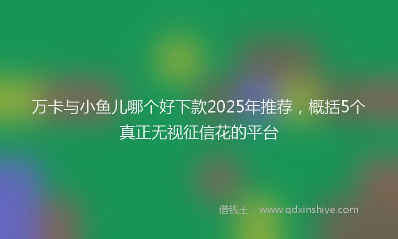 万卡与小鱼儿哪个好下款2025年推荐，概括5个真正无视征信花的平台