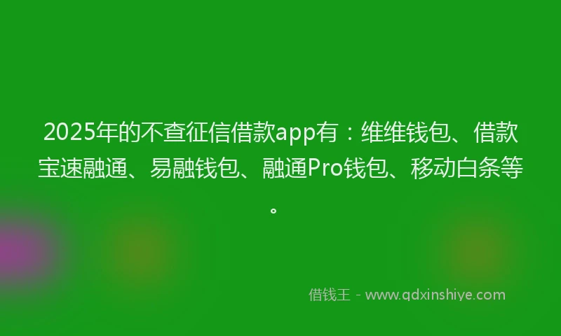2025年的不查征信借款app有：维维钱包、借款宝速融通、易融钱包、融通Pro钱包、移动白条等。