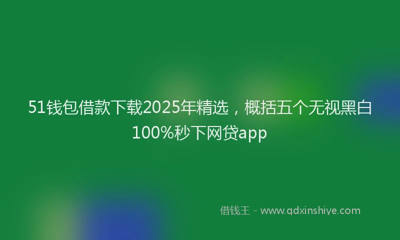 51钱包借款下载2025年精选，概括五个无视黑白100%秒下网贷app