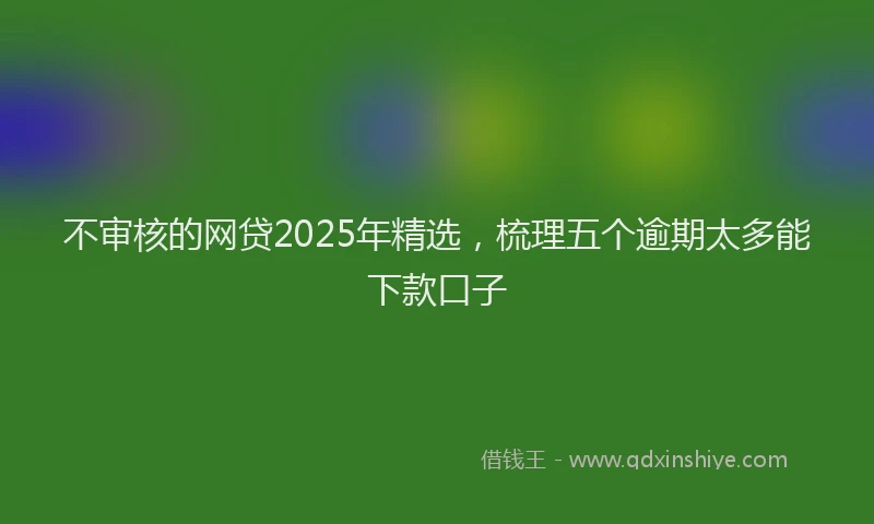 不审核的网贷2025年精选，梳理五个逾期太多能下款口子