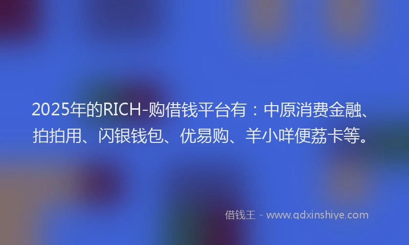 2025年的RICH-购借钱平台有：中原消费金融、拍拍用、闪银钱包、优易购、羊小咩便荔卡等。