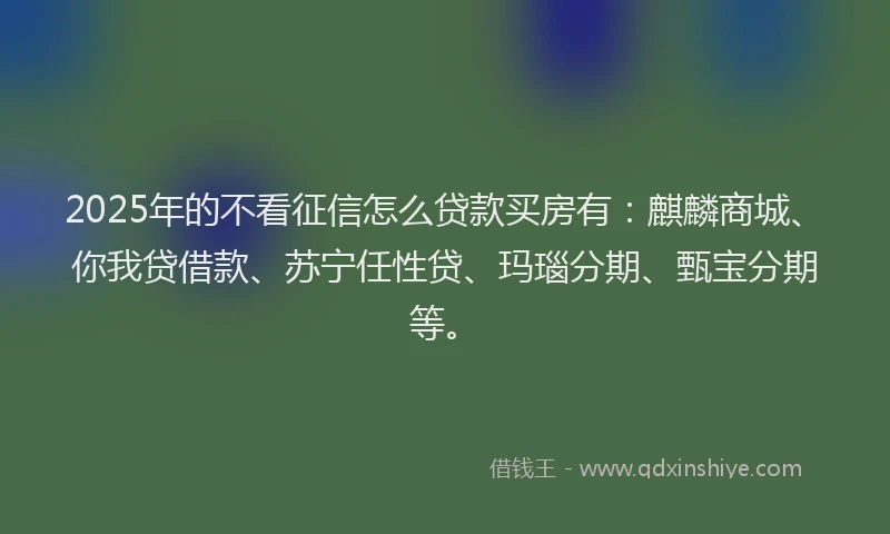 2025年的不看征信怎么贷款买房有：麒麟商城、你我贷借款、苏宁任性贷、玛瑙分期、甄宝分期等。
