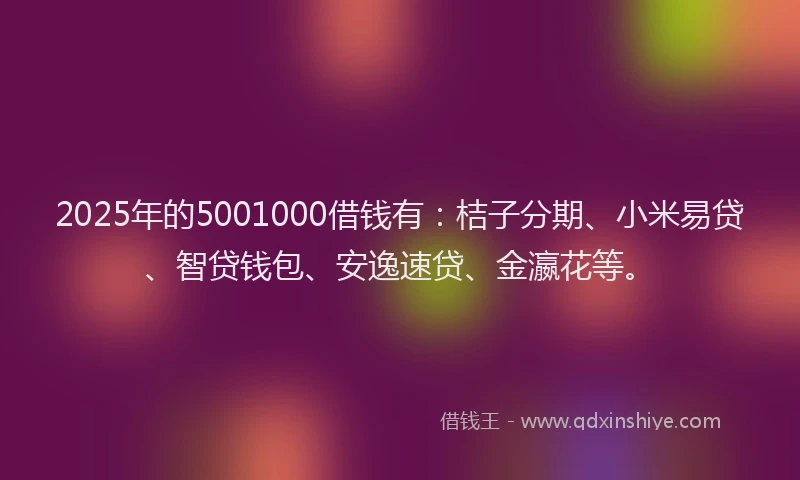 2025年的5001000借钱有：桔子分期、小米易贷、智贷钱包、安逸速贷、金瀛花等。